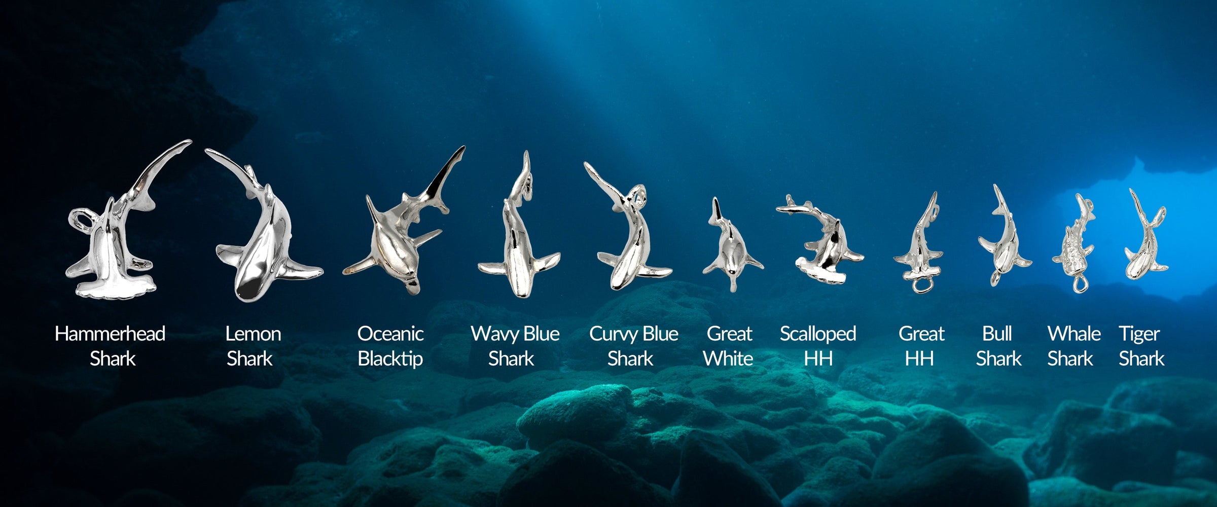 All Alohi Kai sharks in a row