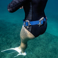 Upcycled Lead Dive Weights - 2# Whale Shark