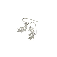 Orangeband Nudibranch Drop Earrings