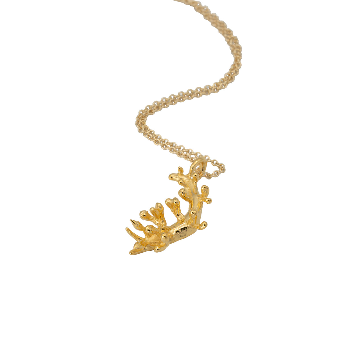Orangeband Nudibranch Necklace