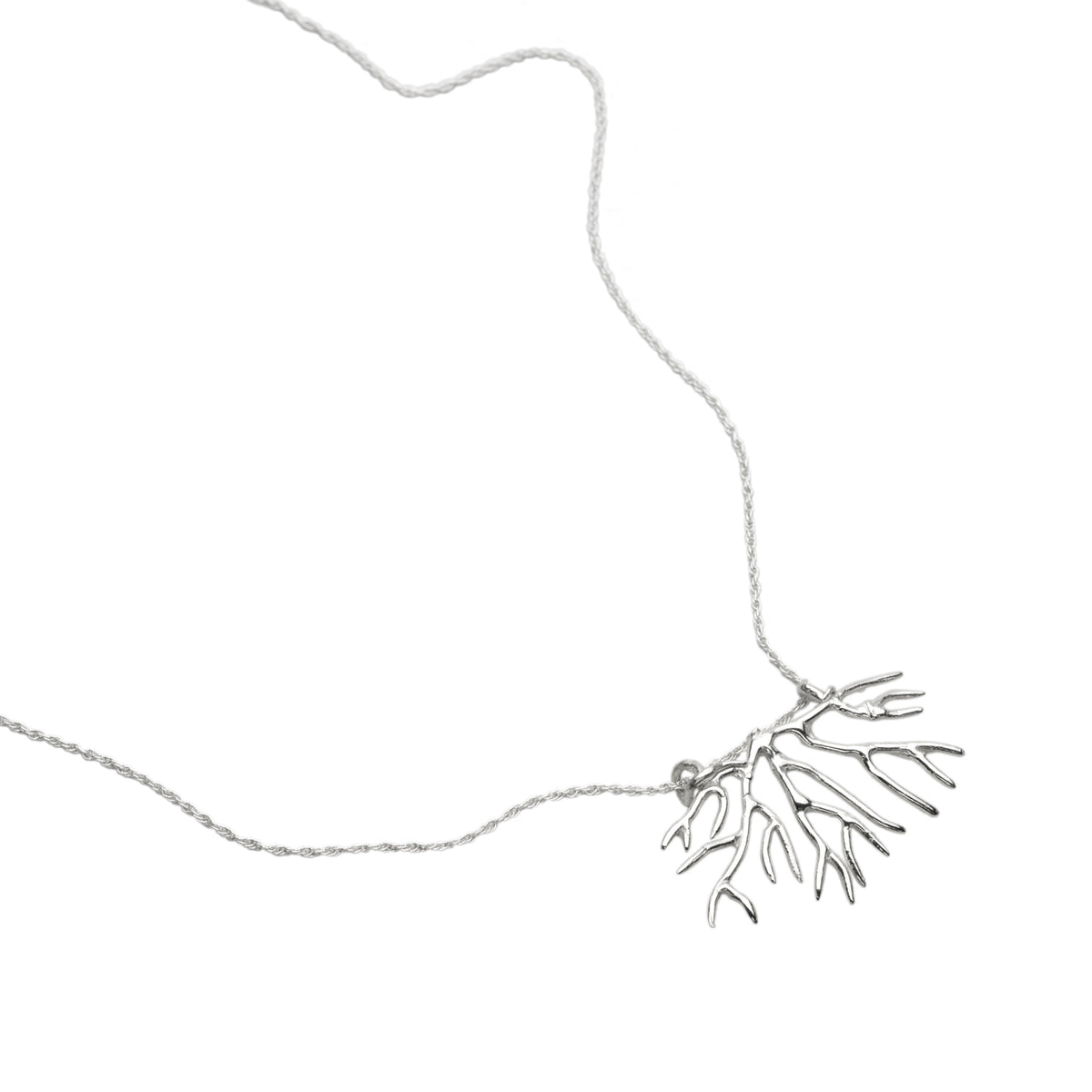 Tuning Fork Bryozoan Necklace