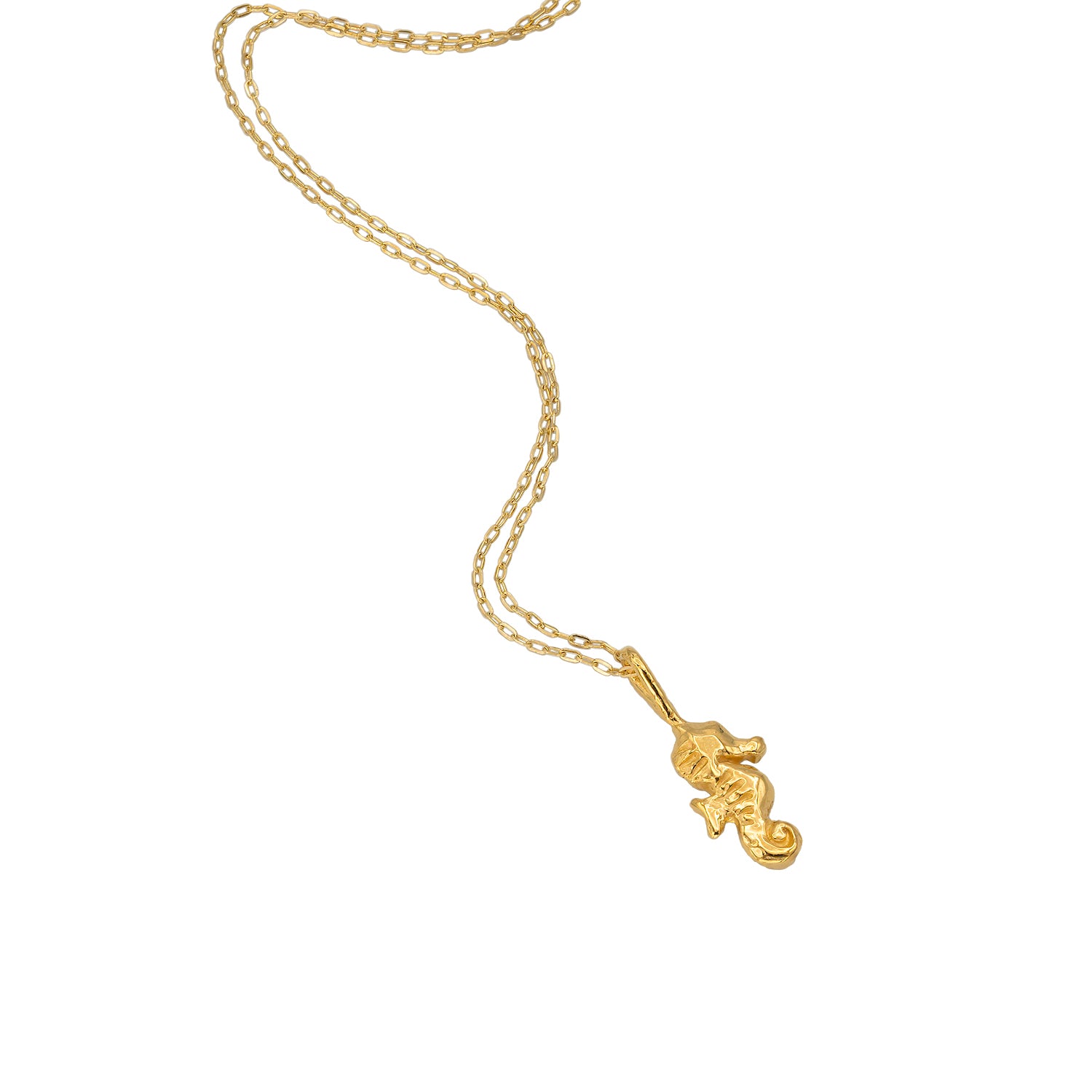 Mo'olio Seahorse Necklace – 'Alohi Kai Jewelry