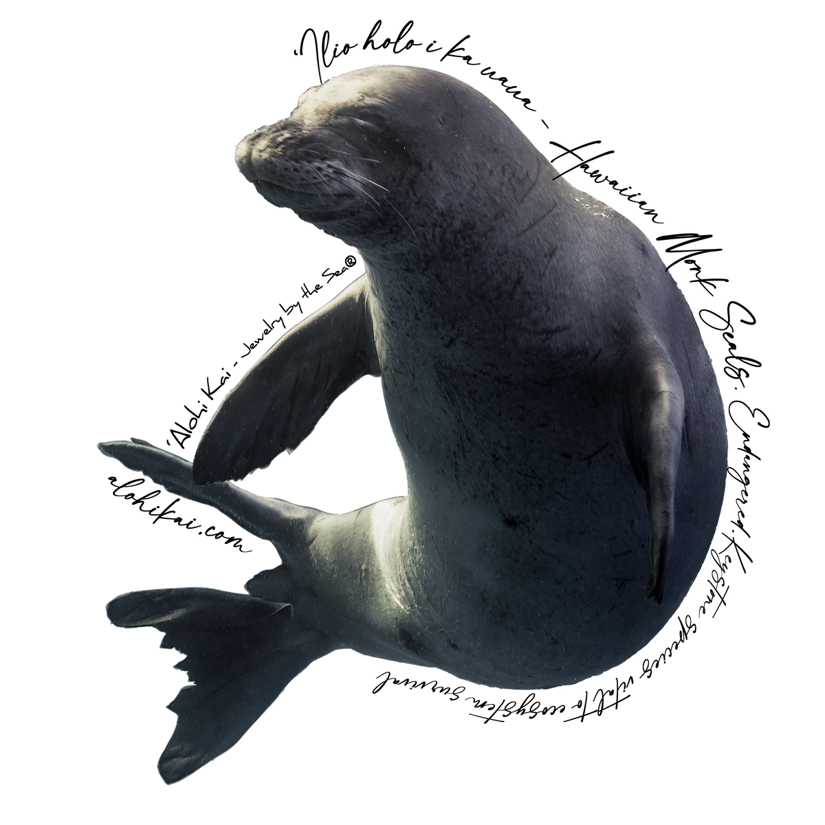 Monk Seal Sticker