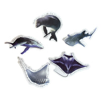 Manta Ray Feeding - Hahalua Sticker