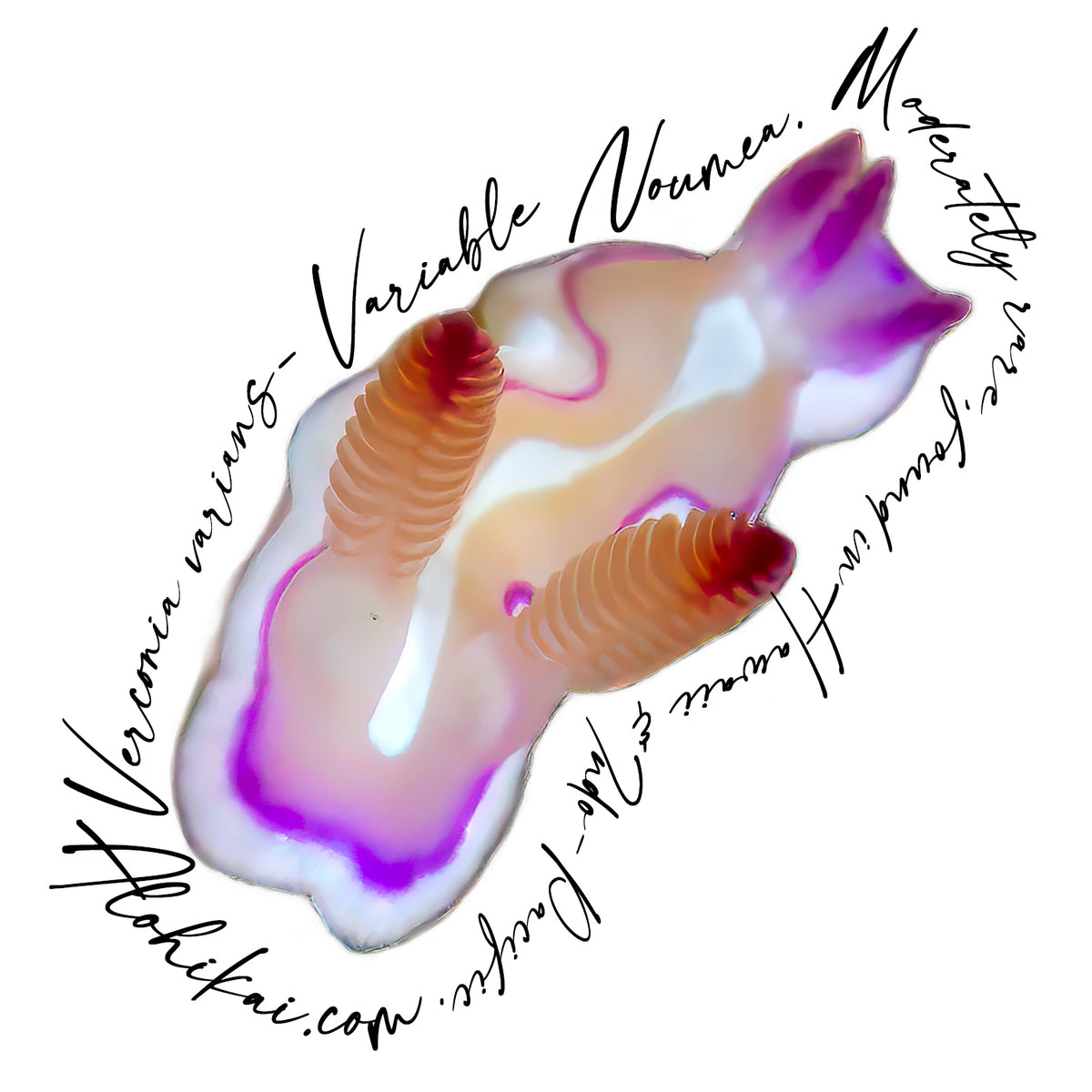 Variable Noumea Nudi stickers