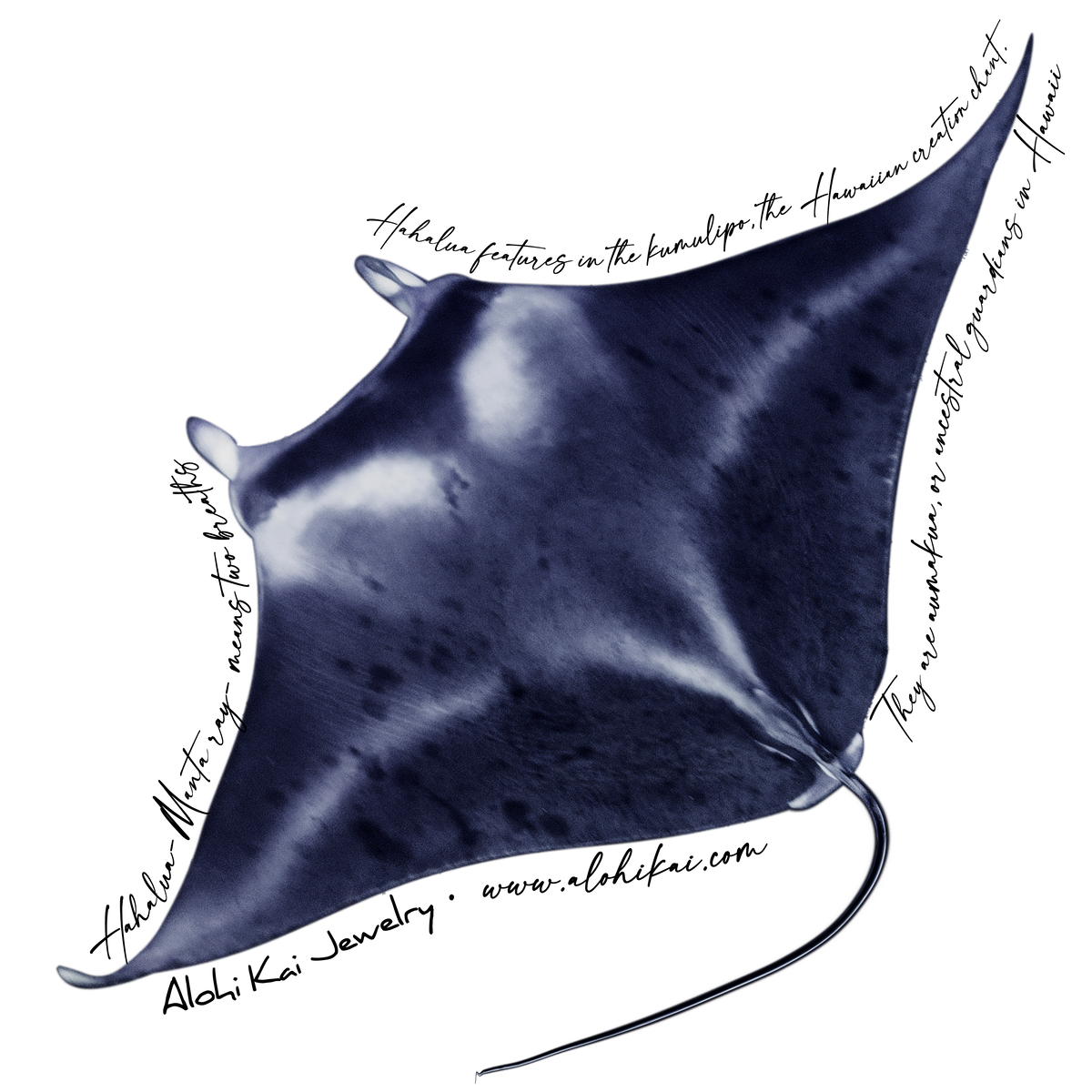 Manta Ray - Hahalua Sticker