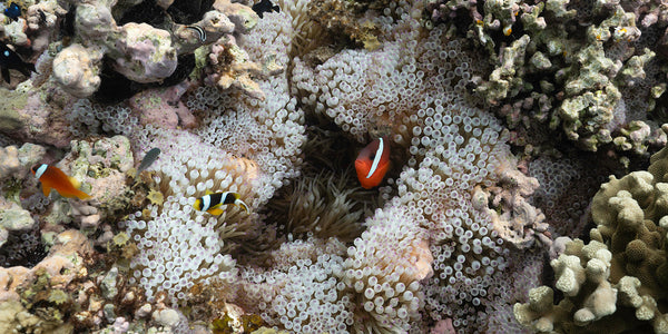 Slow Fashion – Another Way? – Value in Slow (Pt II)