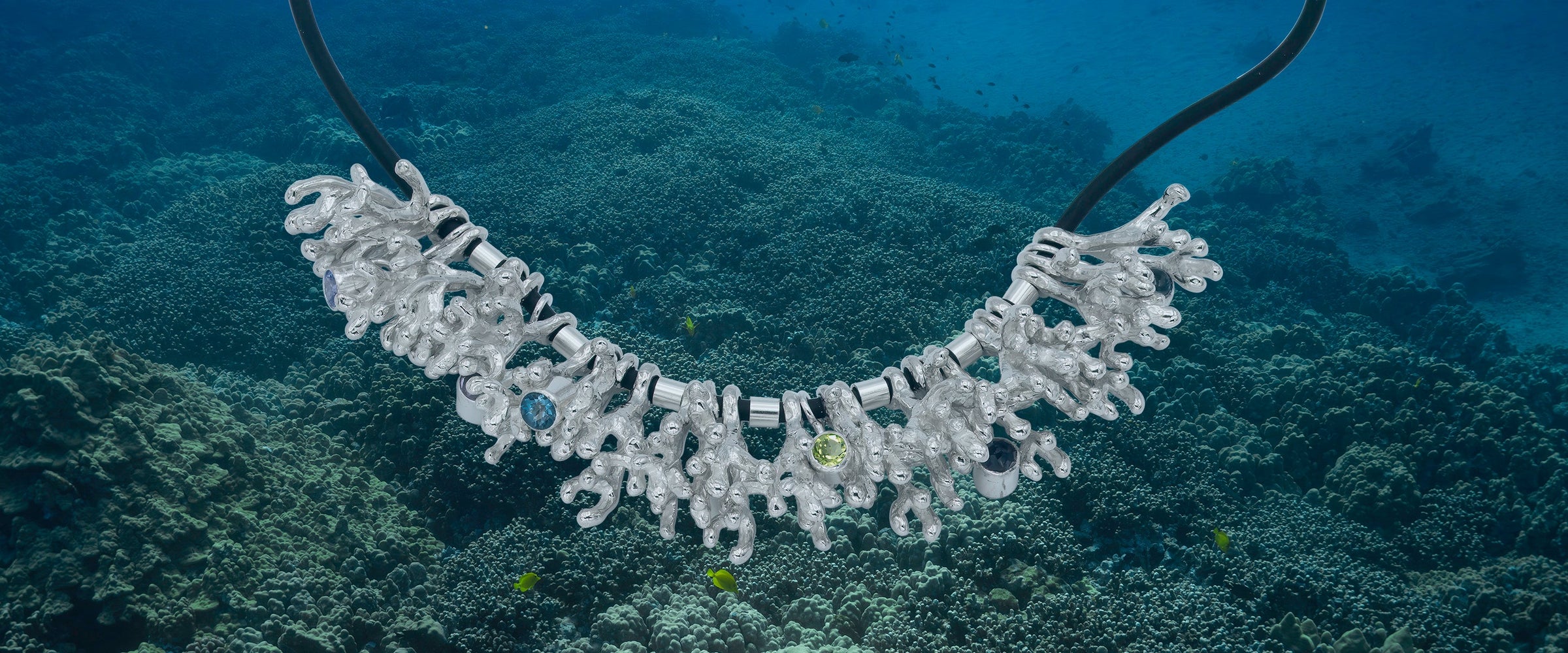 Reef Life - Corals, Sea Stars, Limu & Seahorses