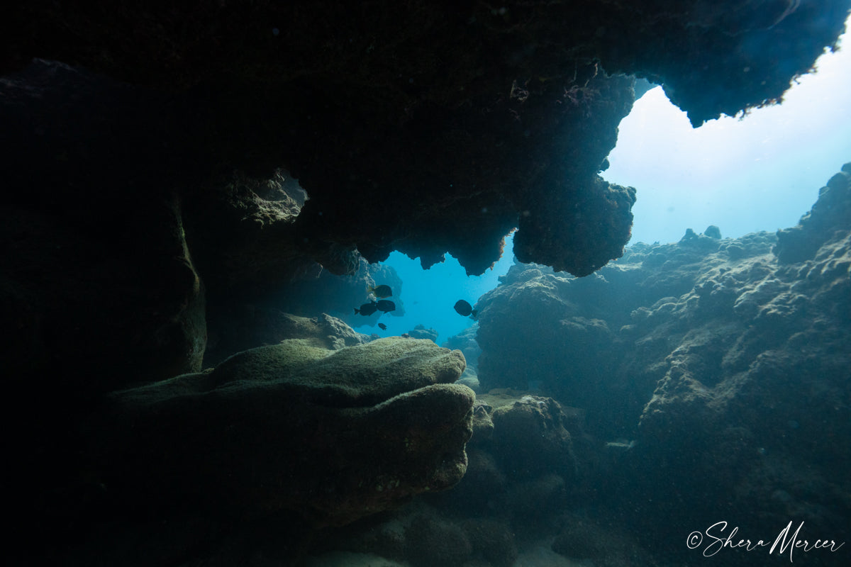 Gifts For Eco-Conscious Ocean Heros