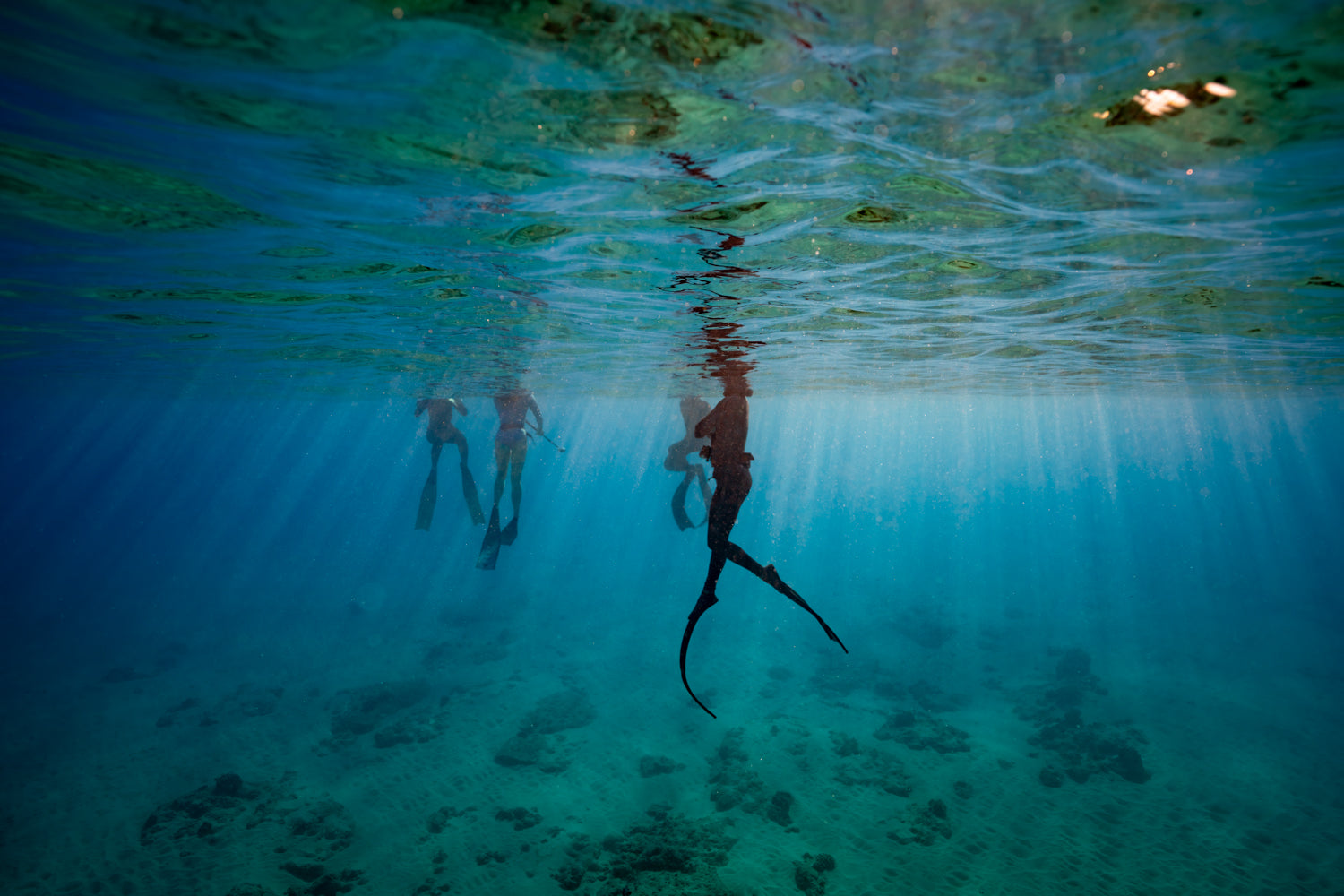 divers at the surface