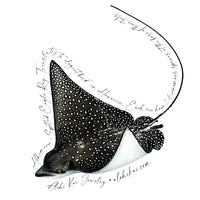 'Alohi Kai Sticker Pack - 14 stickers