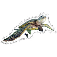 Alohi Kai Sticker Pack - 14 stickers