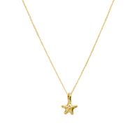 Little Knobby Sea Star Necklace