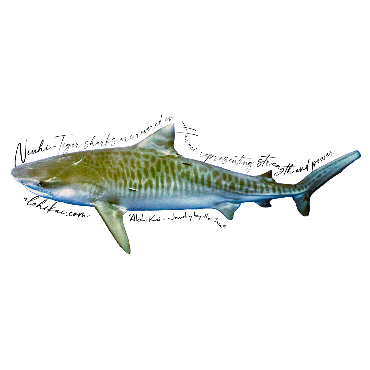 Niuhi Tiger Shark Sticker