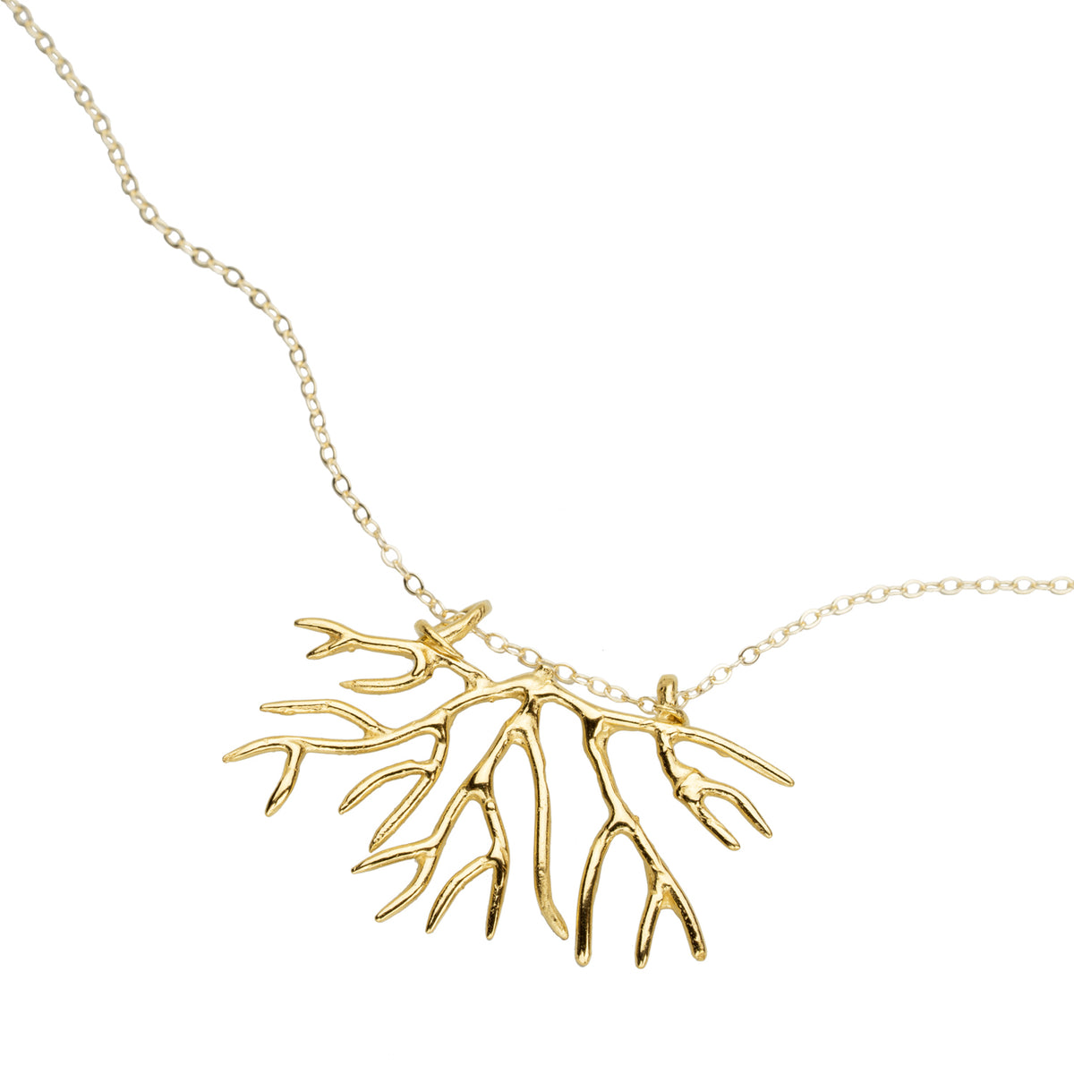 Tuning Fork Bryozoan Necklace