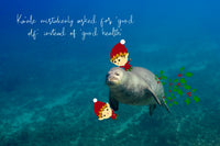 Monk Seal-Elves Greeting Card