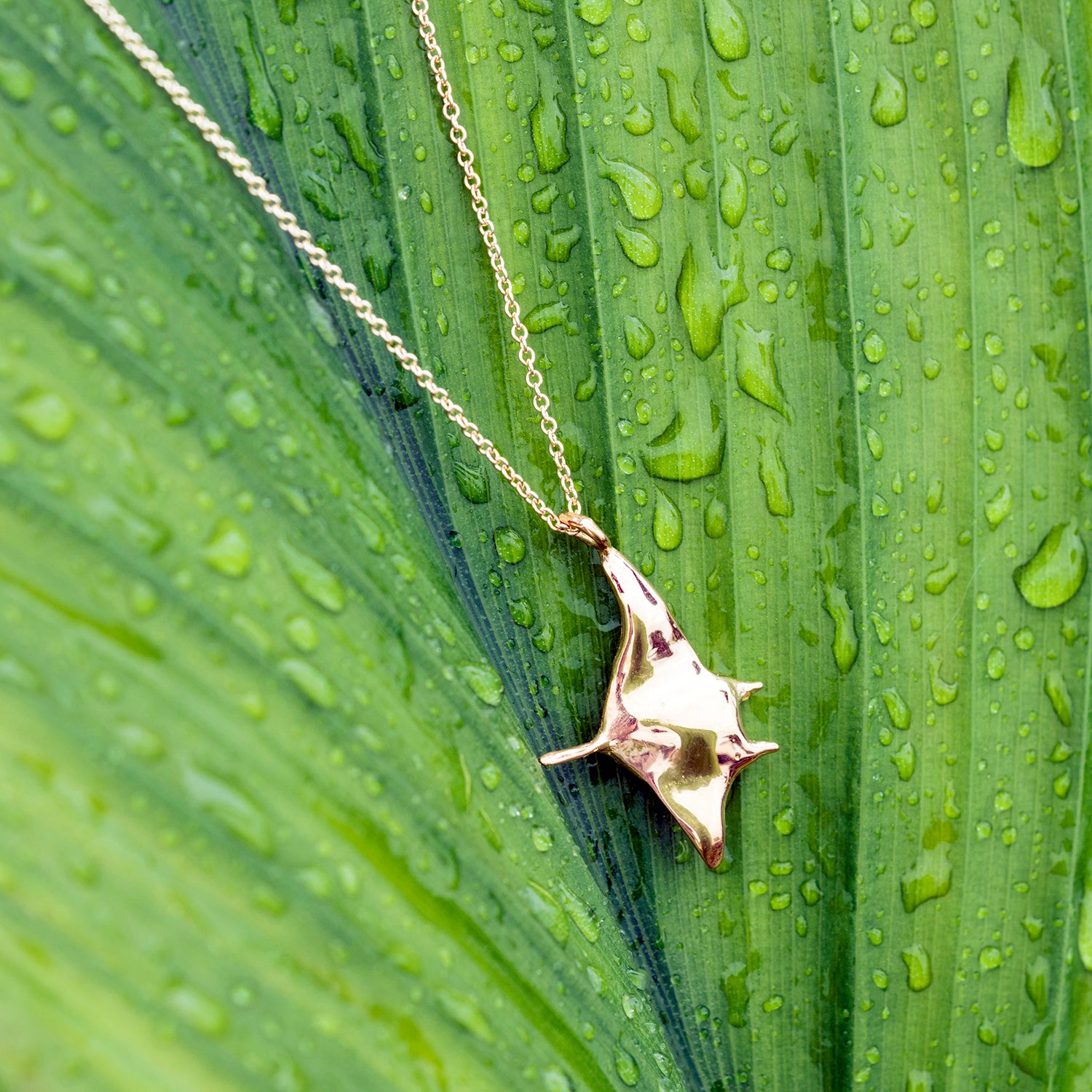 Manta Ray Necklace | Ocean Jewelry Hawaii | 'Alohi Kai – 'Alohi