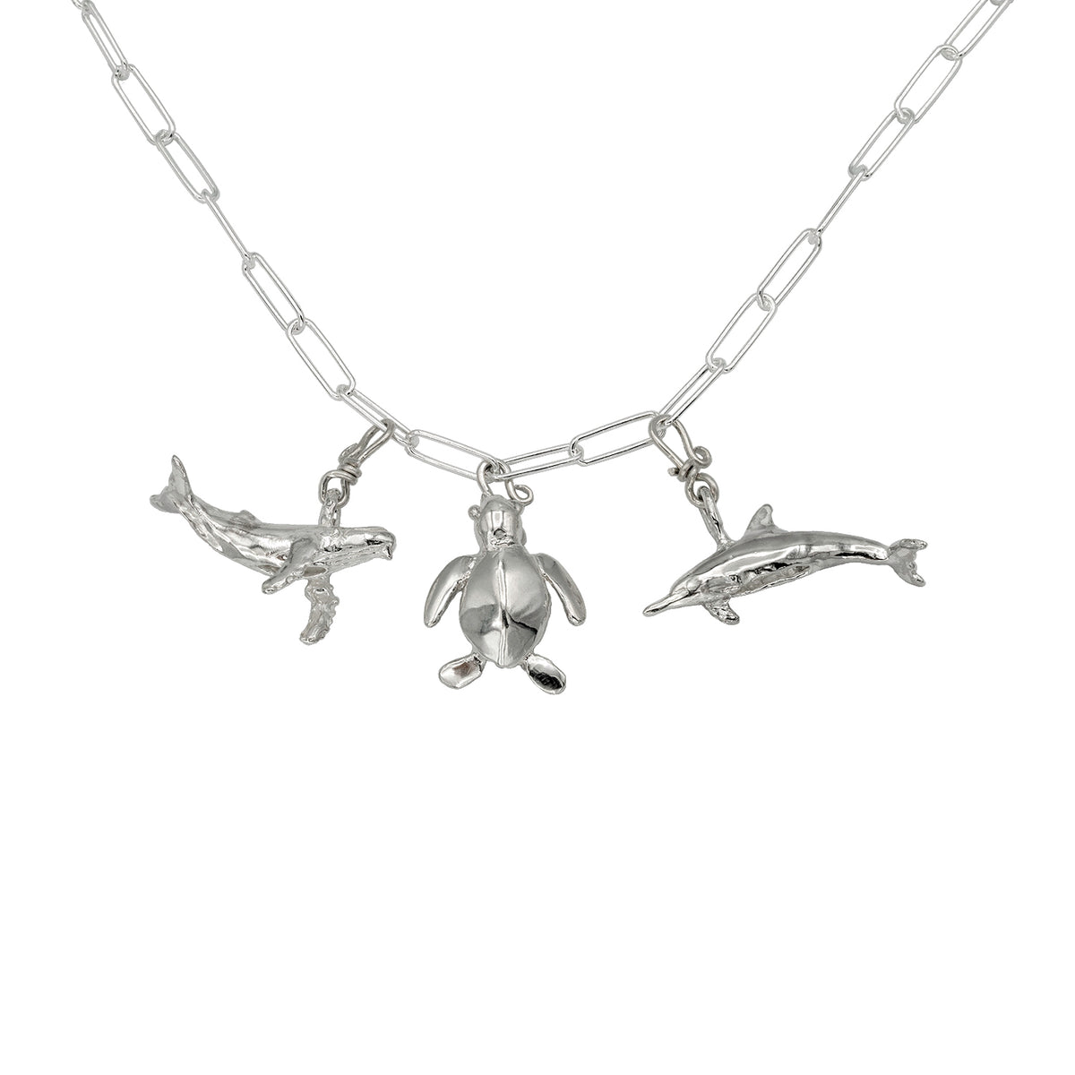 O Ke Kai - Kohola Humpback Whale