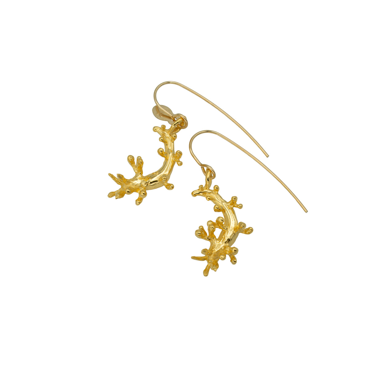 Orangeband Nudibranch Drop Earrings