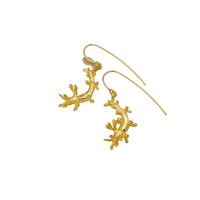 Orangeband Nudibranch Drop Earrings