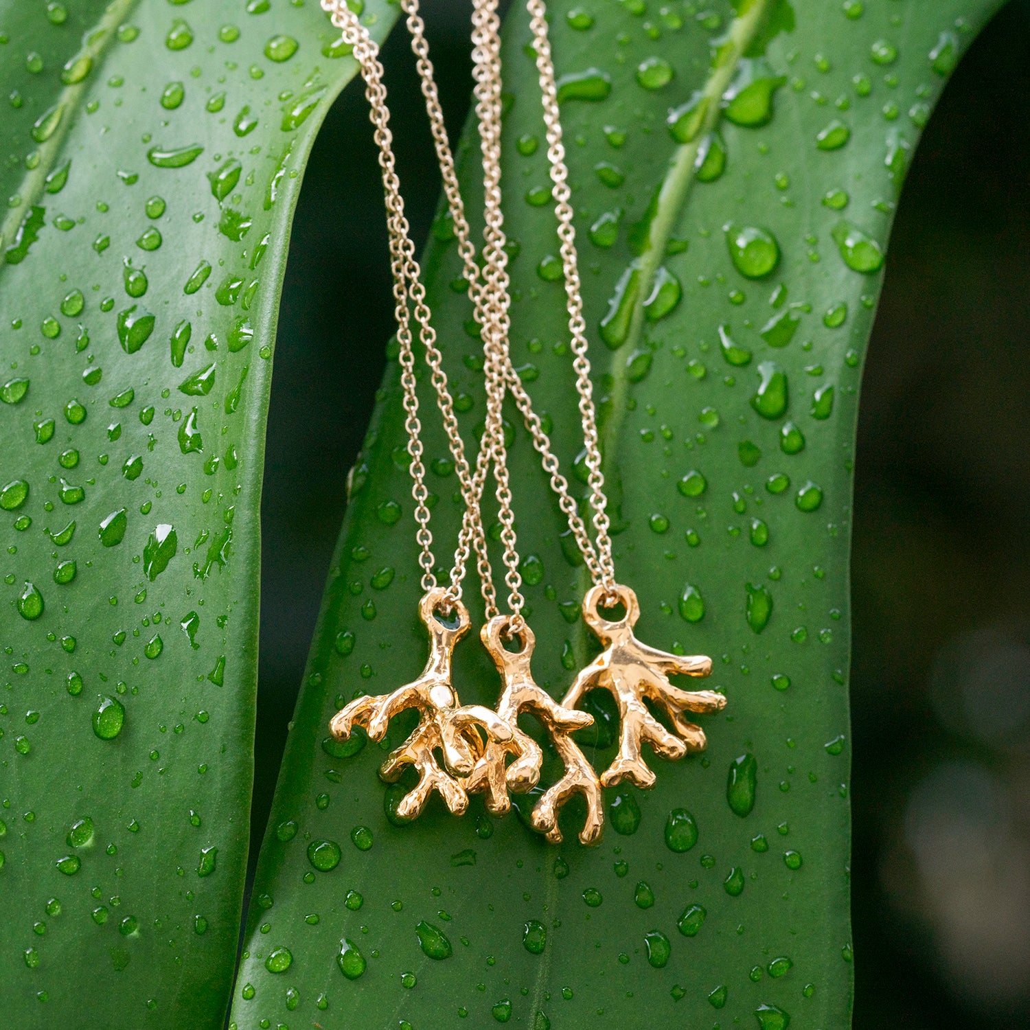 Finger Coral Lima Necklace | Silver & Vermeil Hawaii | 'Alohi Kai