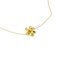 Puakenikeni Necklaces