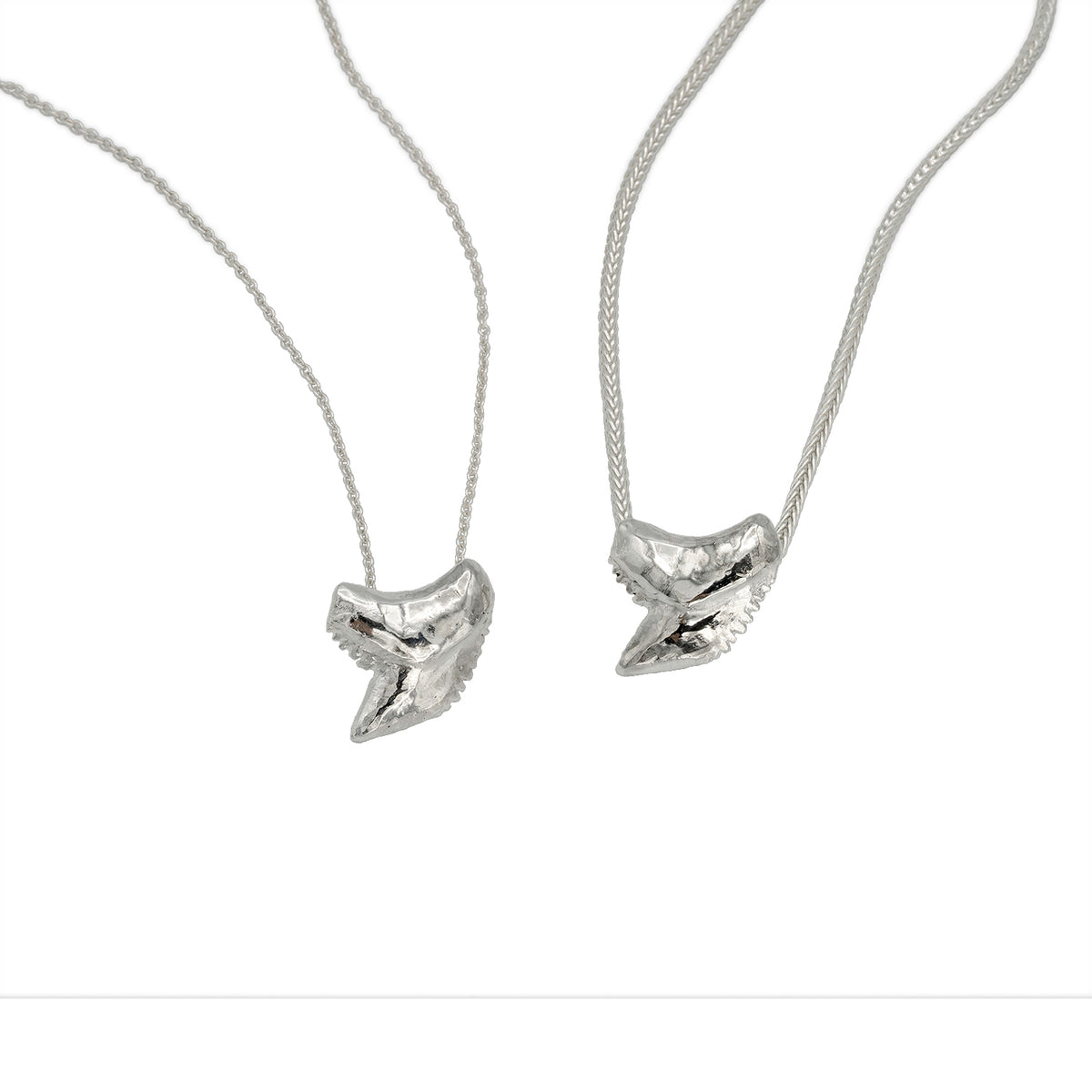 Tiger Shark Tooth Necklace