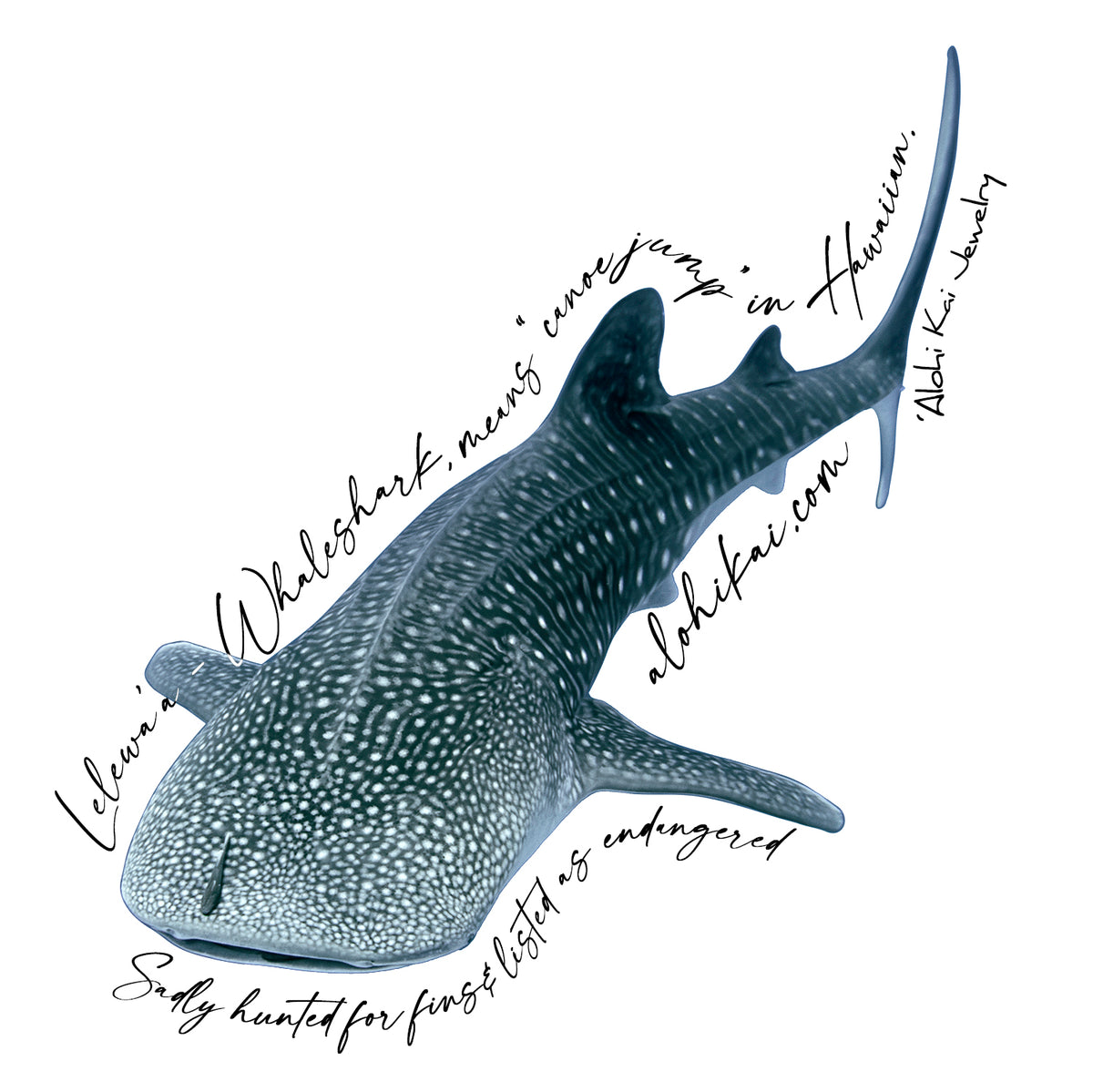 'Alohi Kai Sticker Pack - 14 stickers