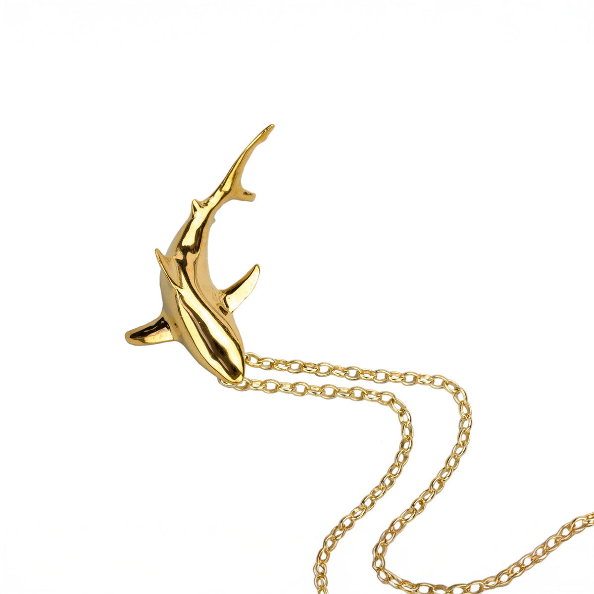 Oceanic Blacktip Shark Necklace