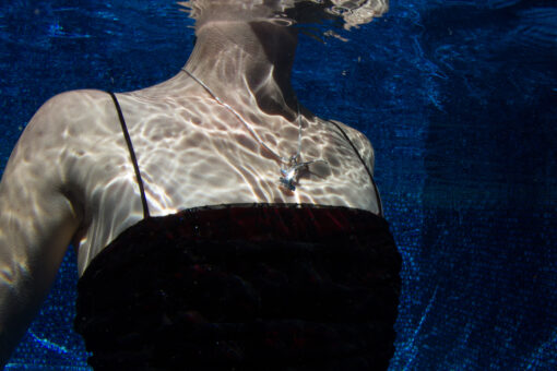 Hammerhead shark on model - pool