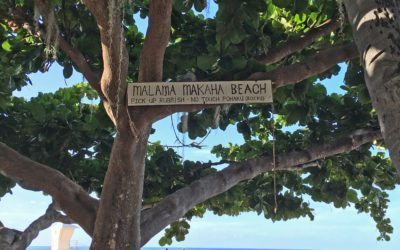 Malama – The Stars Aren’t Out of Reach