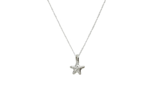 Hohonu Knobby sea star necklace close