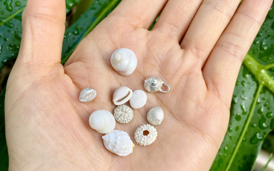 She Stopped Selling Sea Shells – Sustainable Seashells