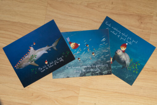 Alohi Kai three holiday cards
